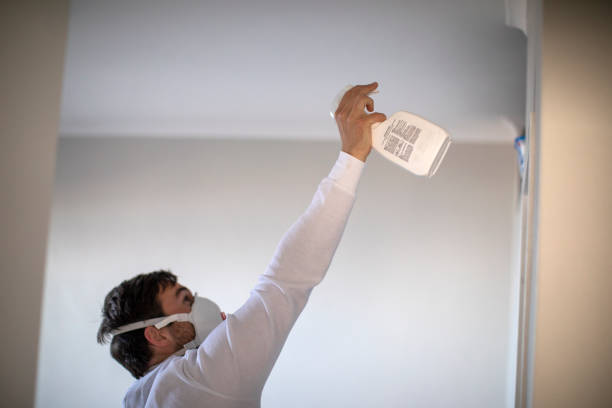 Best Mold Cleaning Services  in Whiteville, TN